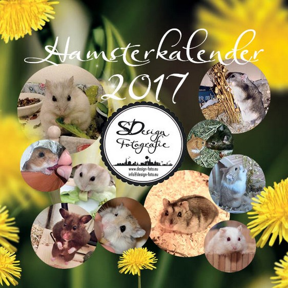 Hamster Tischkalender 2017