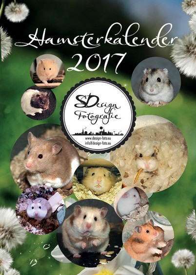 Hamster Wandkalender 2017